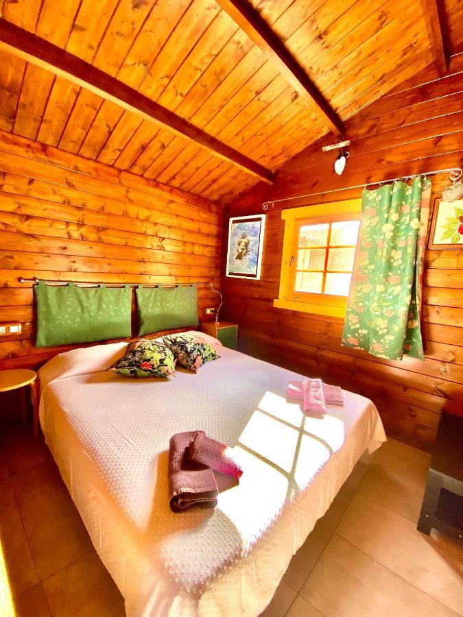 Canary Wild House 2 Carrizal Bagian luar foto