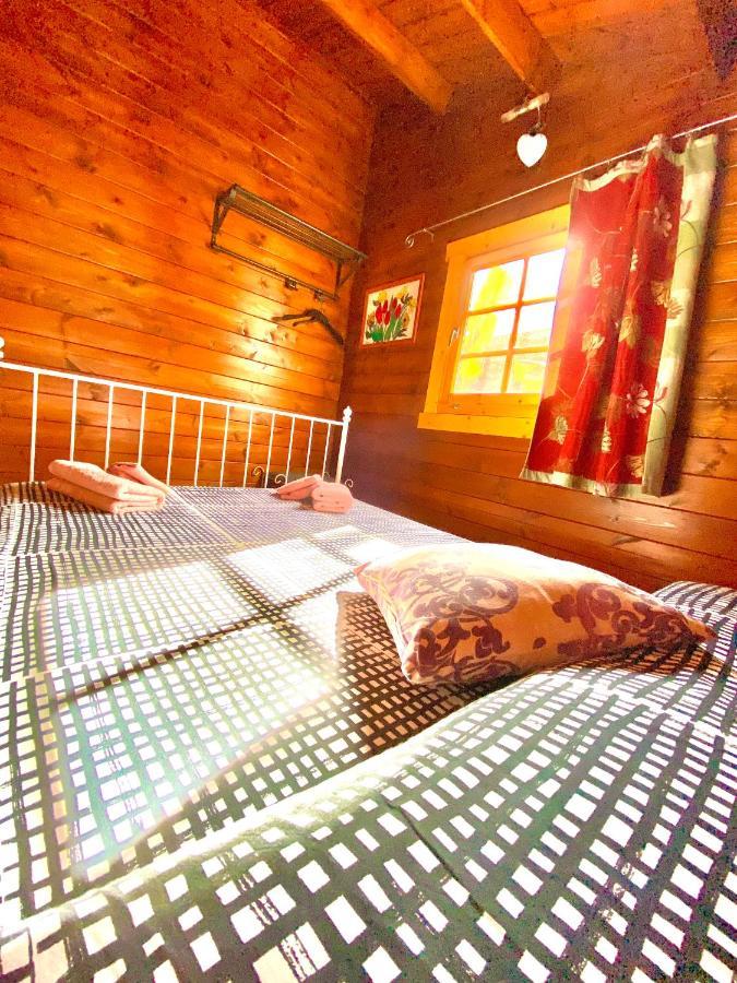 Canary Wild House 2 Carrizal Bagian luar foto
